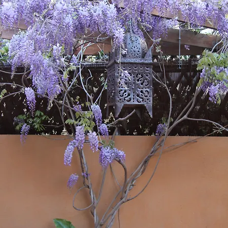 호텔 Logis De La Clape 3*